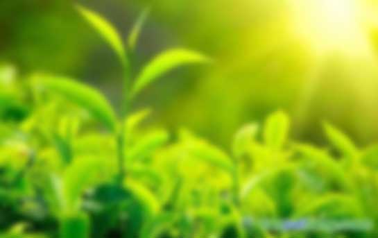 CER與VER減排項目有哪些區(qū)別？