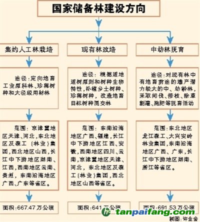 國(guó)家儲(chǔ)備林，儲(chǔ)備我們的未來(lái)