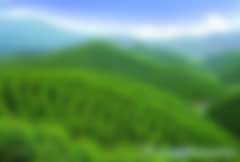 林業(yè)碳匯林補(bǔ)貼騙局是怎么回事兒？