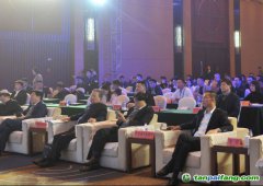 2019中國綠色城市指數(shù)TOP50發(fā)布，哪些城市是綠色標(biāo)桿？