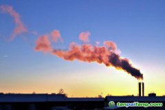 人社部碳交易師和碳排放管理師哪個好？證書有用嗎？再哪里報考的官方報名入口來了