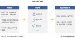 2022 年中國碳捕集、利用與封存（CCUS）洞察報(bào)告