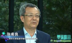 張希良：可適當(dāng)引入有償碳排放配額、碳稅機(jī)制