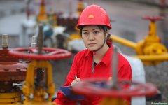 二十大代表謝利平：化精神為動力，為碳達峰碳中和作出基層貢獻
