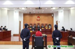 碳匯修復(fù)，解鎖生態(tài)司法綠色基因