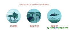 183元/噸！碳匯爆發(fā)，CCER市場(chǎng)價(jià)格的風(fēng)向標(biāo)？
