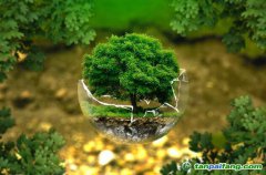 控排企業(yè)碳資產(chǎn)管理代運(yùn)營：配額籌劃、合規(guī)化改造等數(shù)據(jù)優(yōu)化、碳交易金融化思維