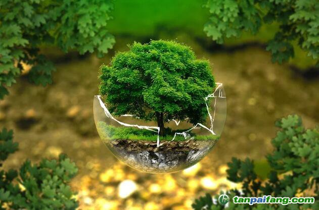 控排企業(yè)碳資產(chǎn)管理代運(yùn)營：配額籌劃、合規(guī)化改造等數(shù)據(jù)優(yōu)化、碳交易金融化思維