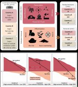 我國(guó)科學(xué)家提出“雙軌”方案破解降碳困局